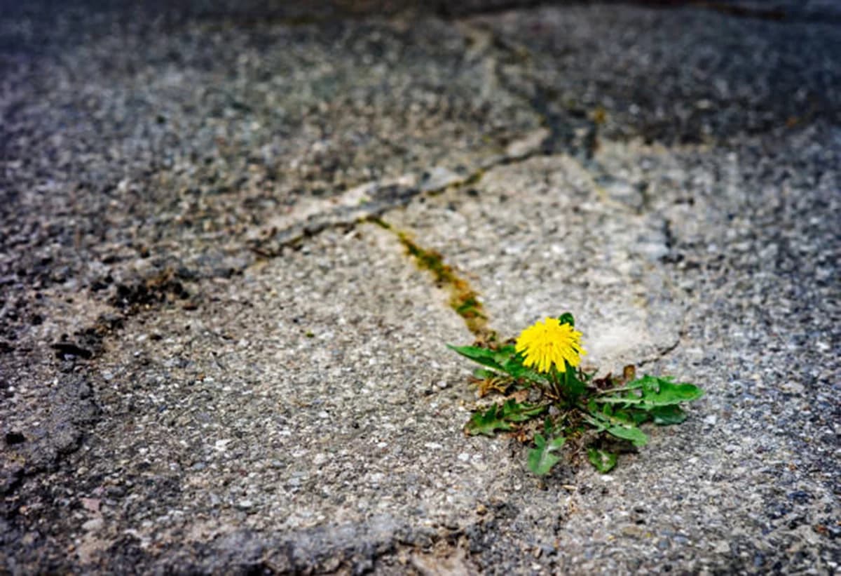 Building Resilience: Why Traditional Training Methods Aren't Enough